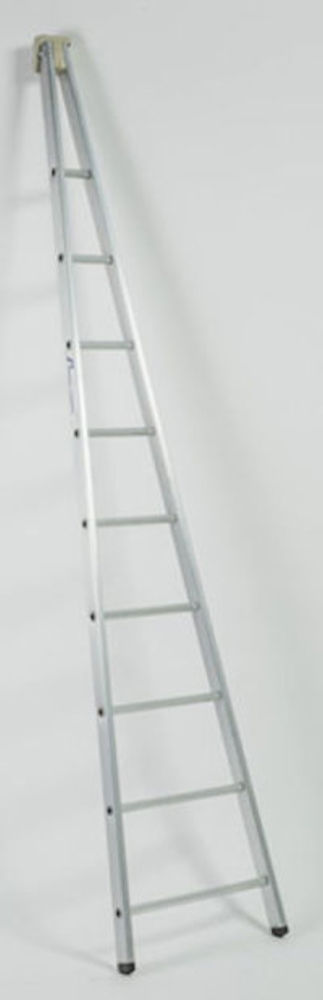 Ramsay 2.0m Single Section Aluminium Window Cleaning Ladder