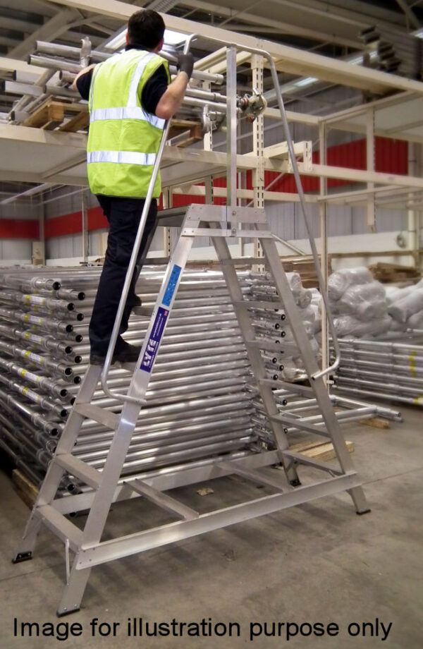 Lyte 6 Tread Fixed Industrial Double Sided Step Double Side Handrail