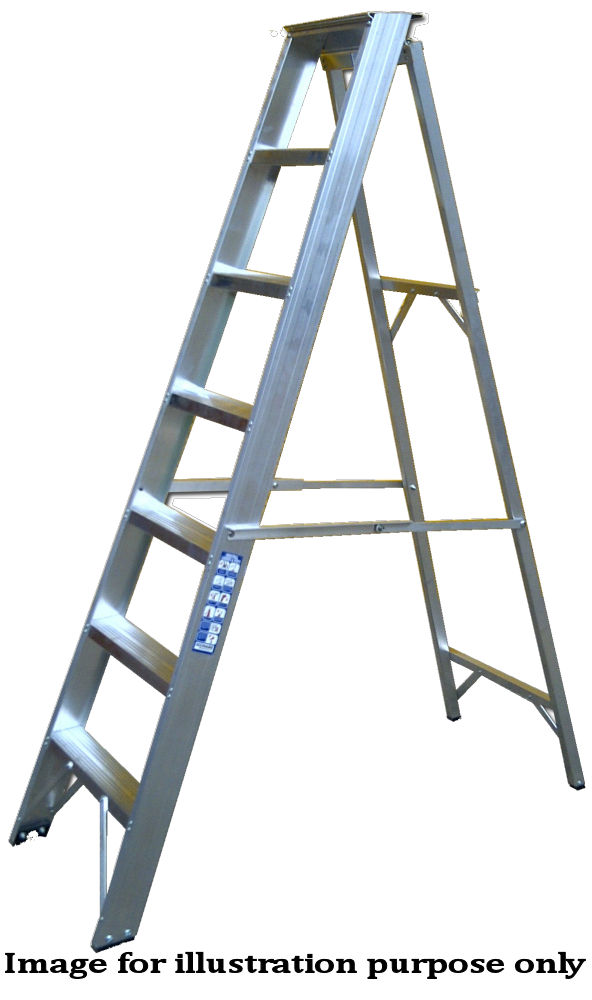 Chase 6 Tread Industrial Swingback Step
