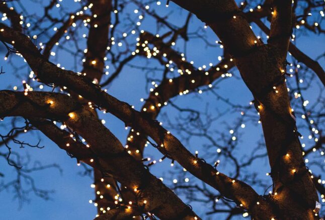 |DON’T FORGET YOUR KITCHEN STEP LADDERS THIS FESTIVE SEASON
